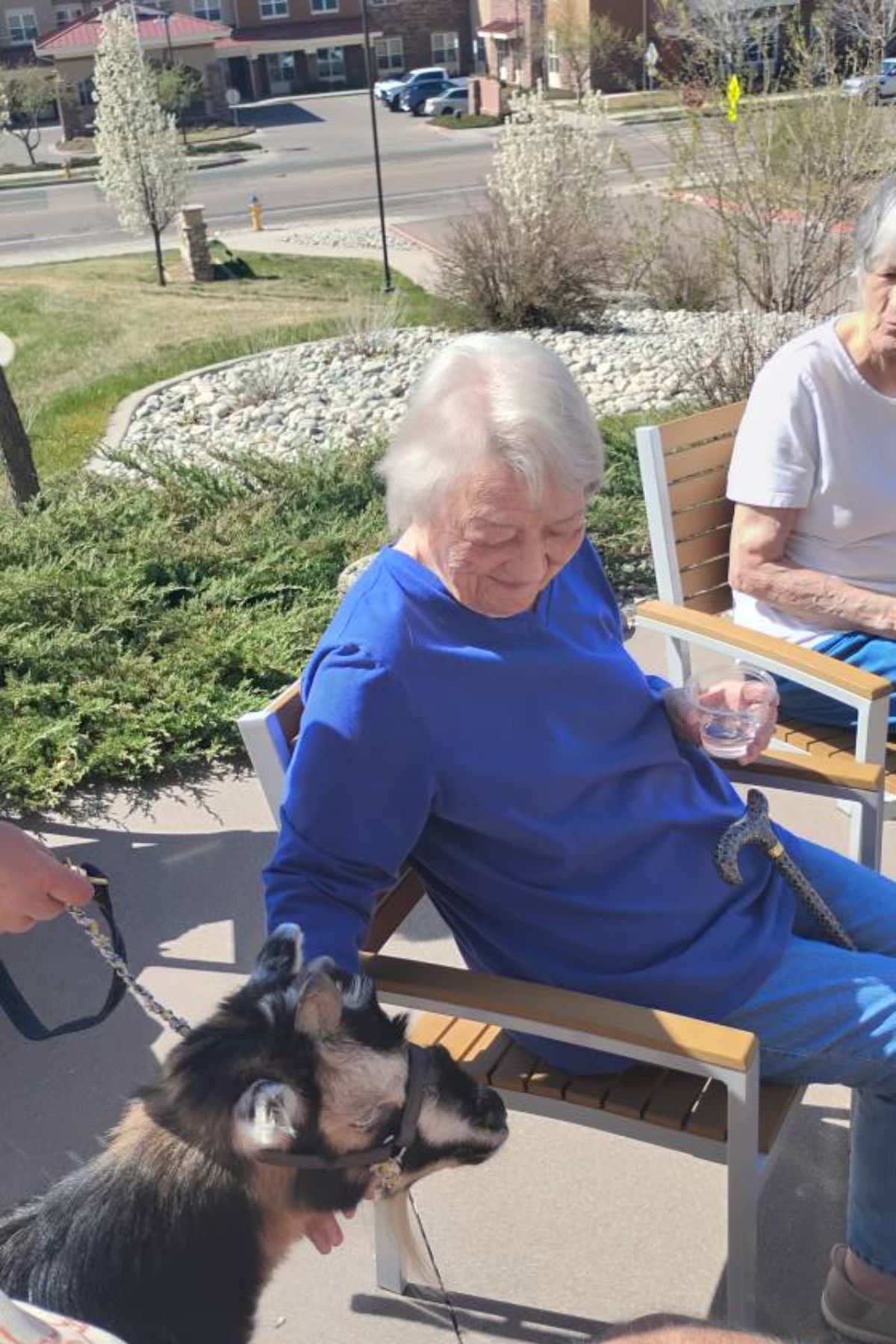 Sunny Vista Senior Living Community in Colorado Springs, CO - sunny vista resident with pet portrait
