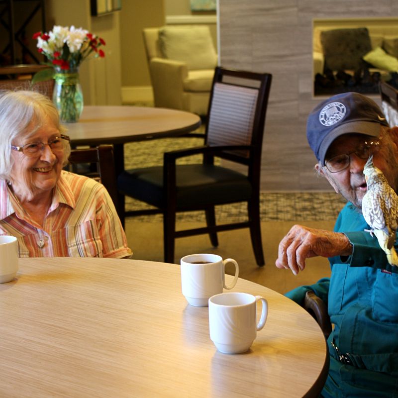 Sunny Vista Senior Living Community in Colorado Springs, CO - the retreat assisted living residents with a bird (3)