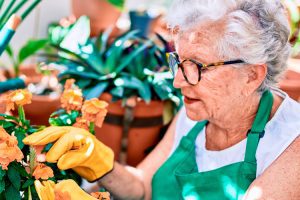 Sunny Vista Senior Living Community in Colorado Springs, CO - sunny vista senior woman flower gardening